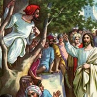 DAILY BREAD: A SHORT TREE CLIMBING RICH MAN NAMED ZACCHAEUS